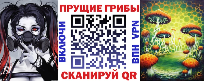 купить наркотики цена  Болохово  Псилоцибиновые грибы GOLDEN TEACHER 